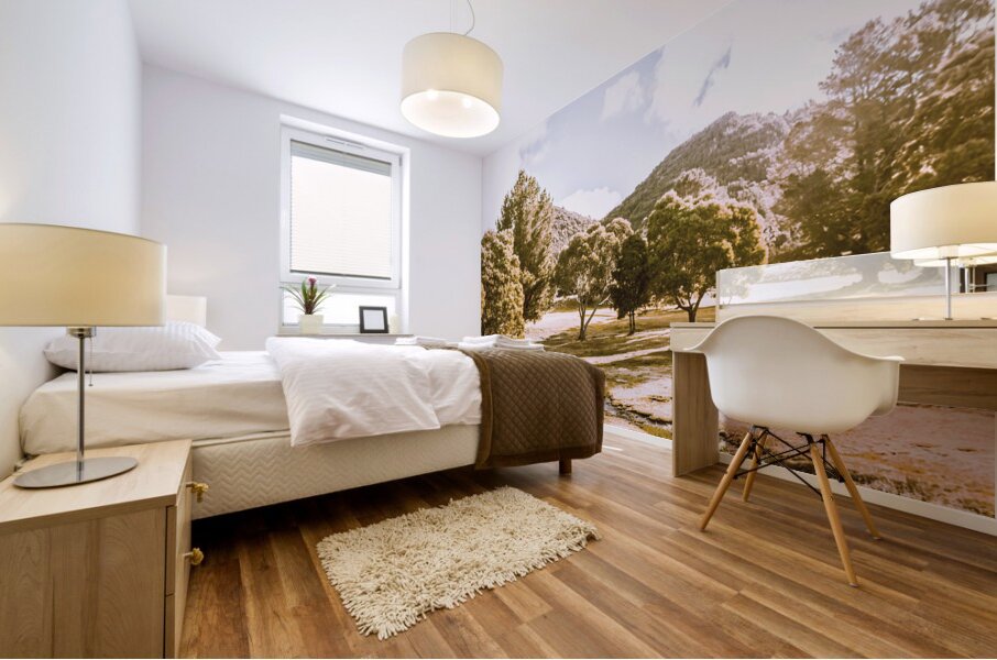 Ornate outbacks Mural print