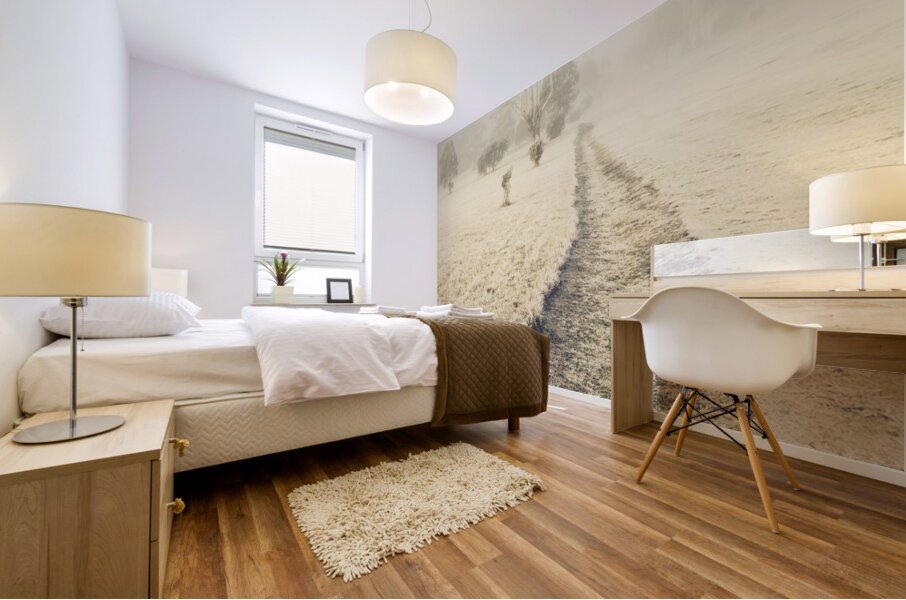 Trees in fog and mist Mural print