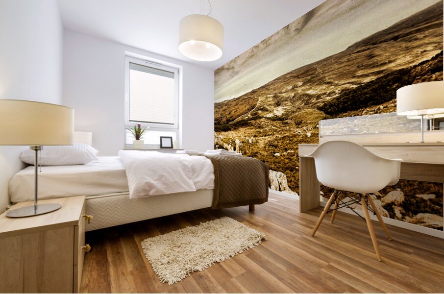 End of the earth Mural print