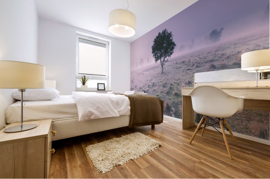 New South Wales foggy meadow Mural print