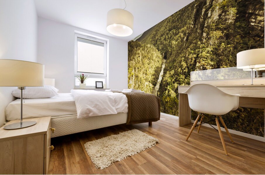 River Below Mural print