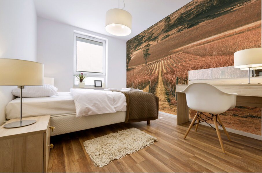 Cranbrook vineyard Mural print
