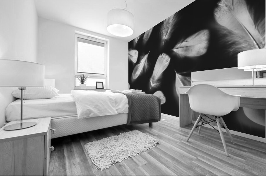 Fluff and feather Mural print