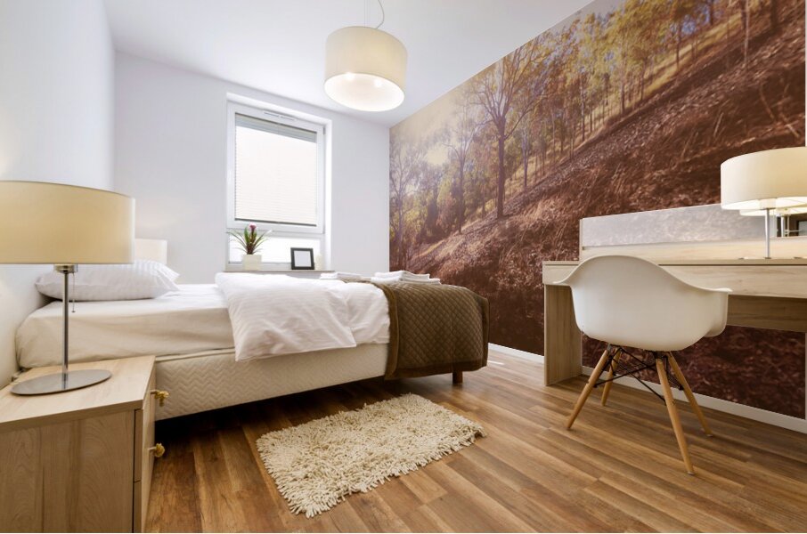 The Warmth Mural print