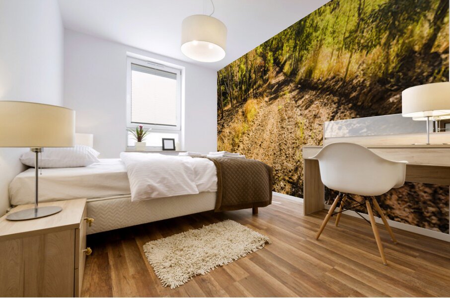 Rural Route Mural print