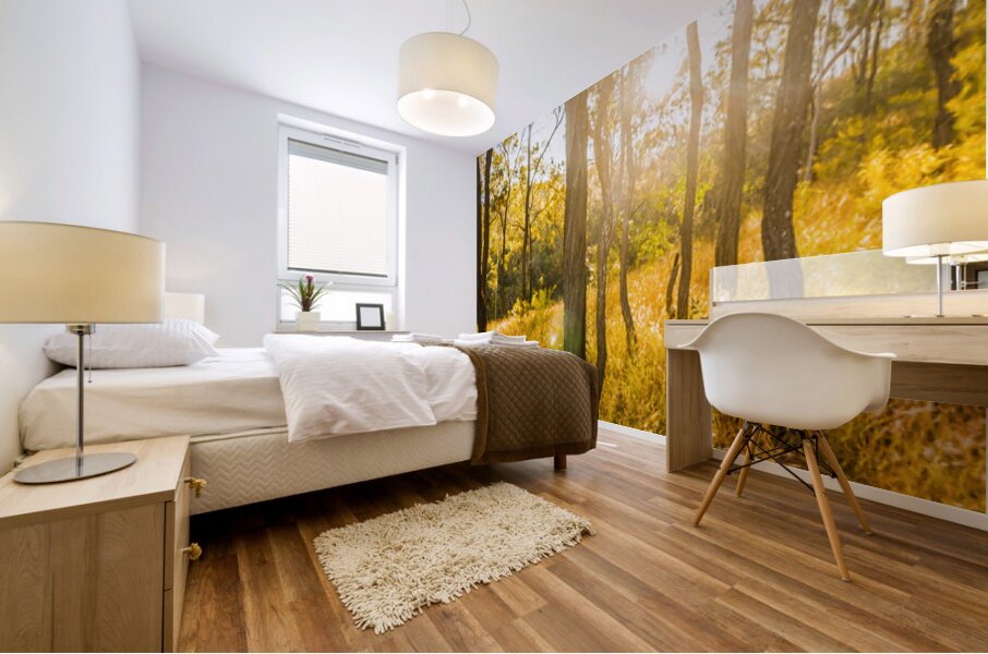 Wooded Light Mural print