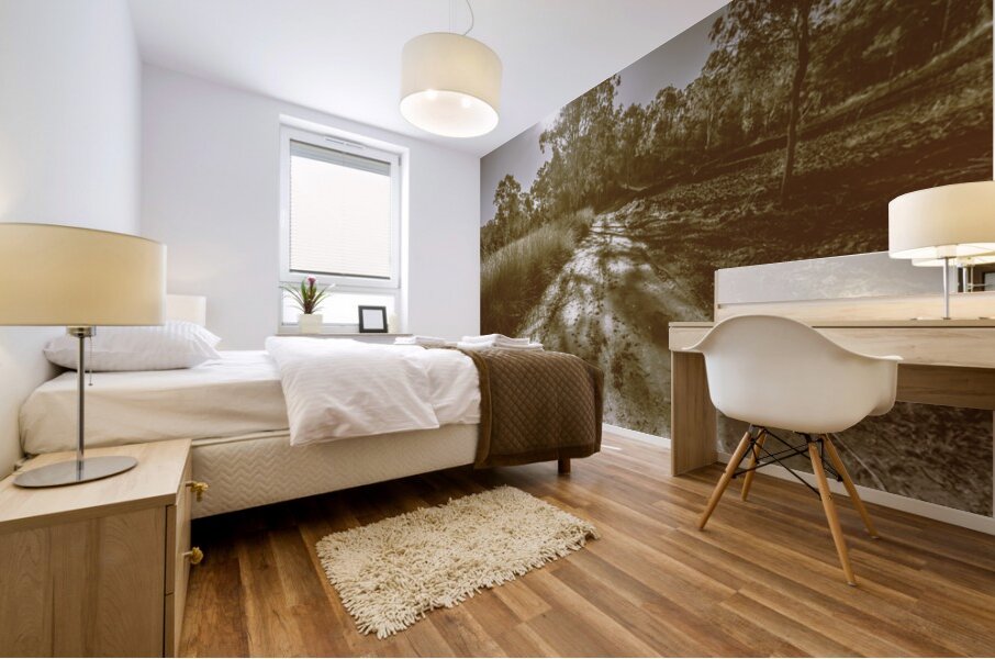 Tessellated Trail Mural print