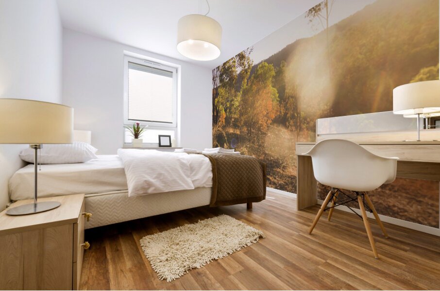 Sunflare Valley Views Mural print