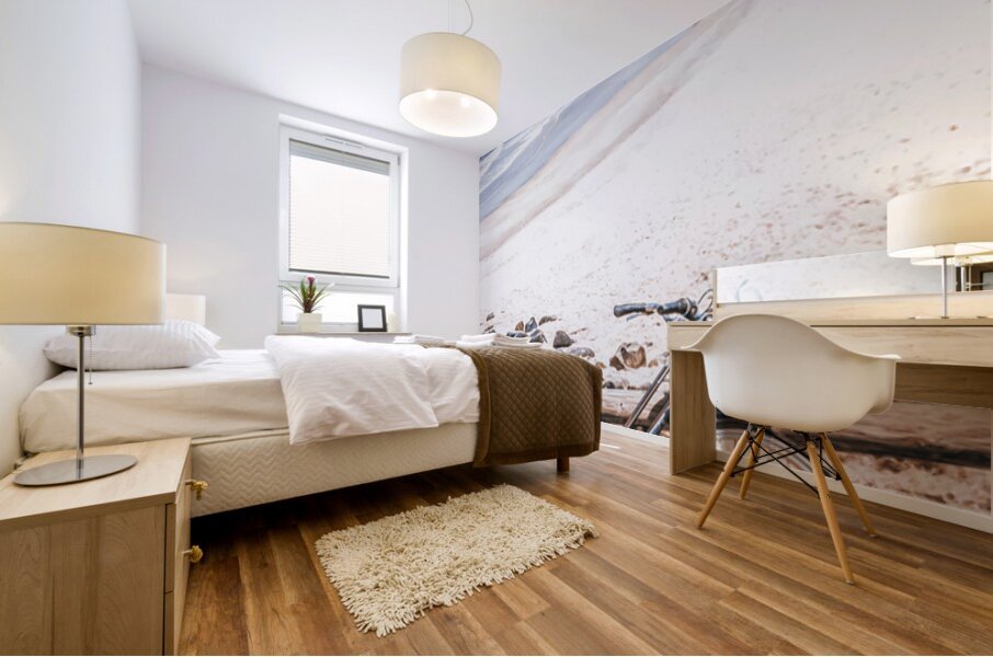 Beach Bicycle Mural print