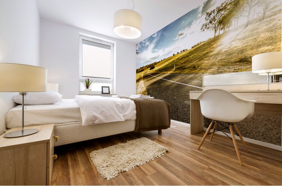 Acres Of Adventure Mural print