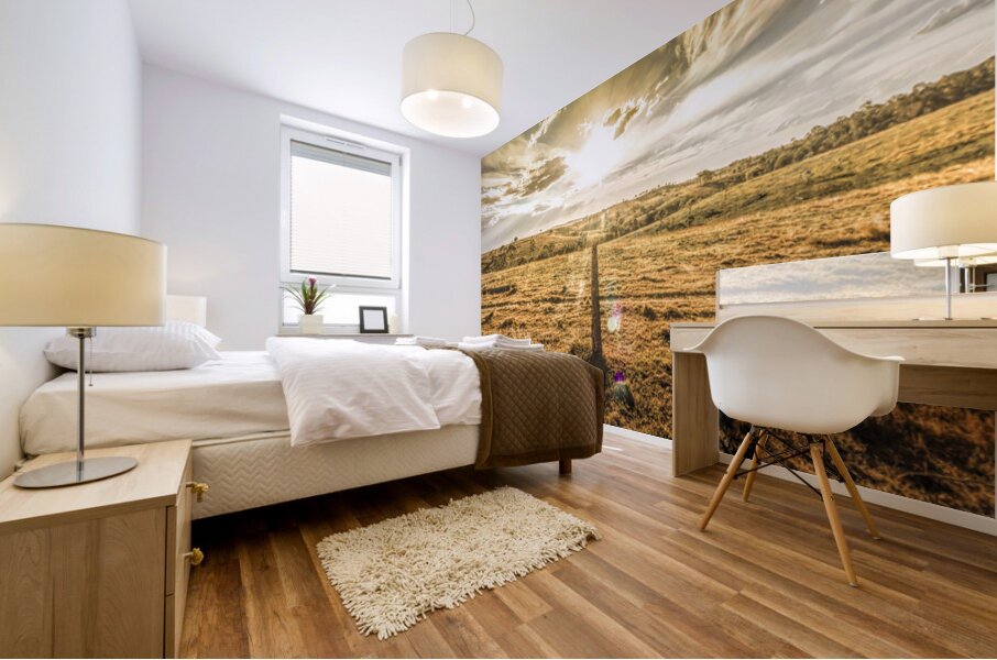 Golden Light Mural print