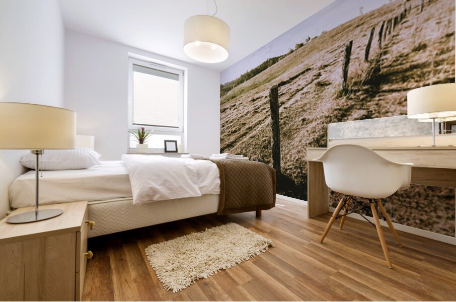 Borderlines Mural print