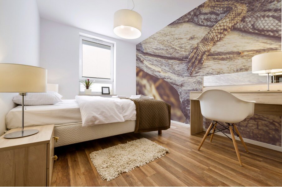 Outback Afternoons Mural print