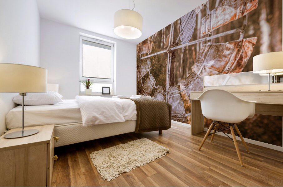 Shades Of Autumns Rust Mural print