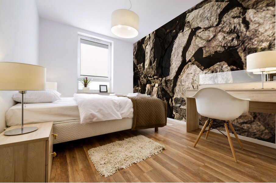 Depths And Details Mural print