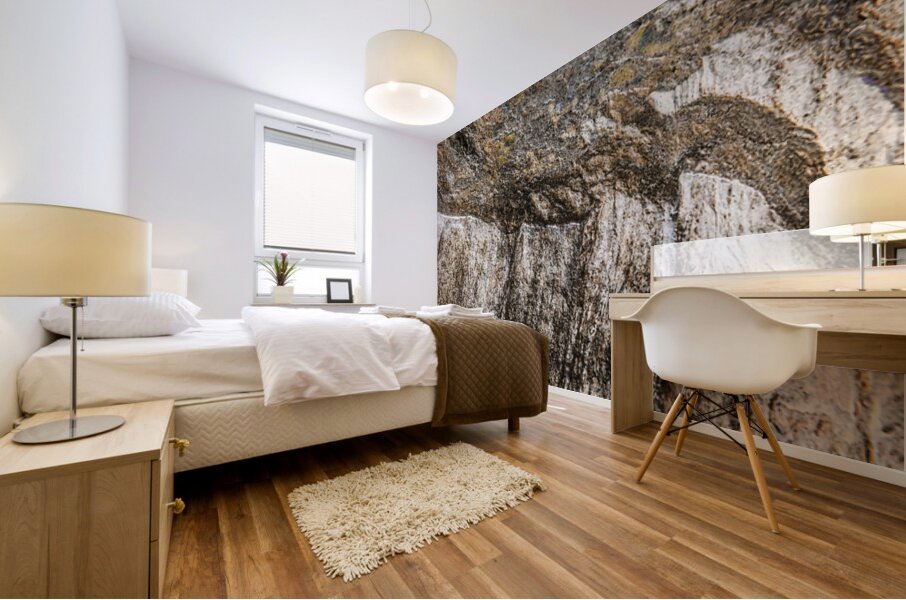 Schist Form Mural print