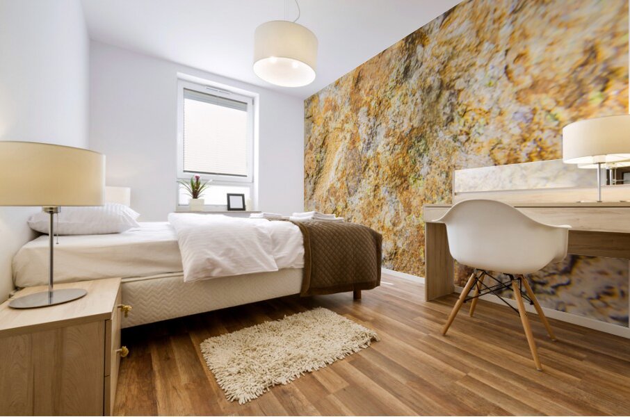 Flecks And Specks Mural print