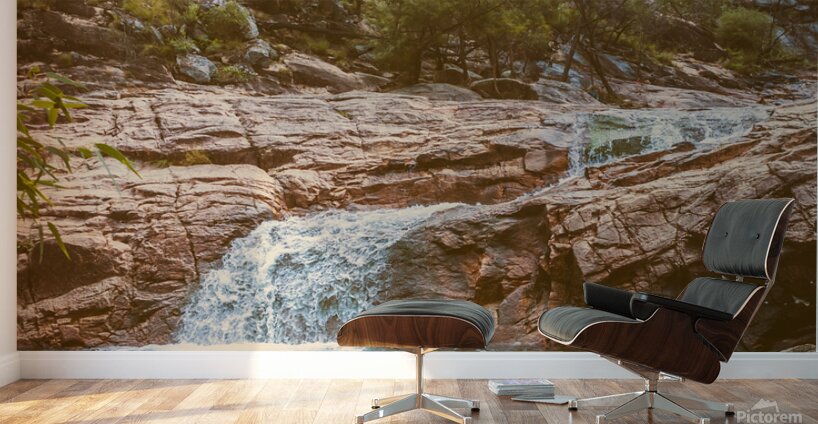 Bushland oasis Wall Murals