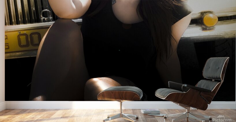 Working Class Woman Wall Murals