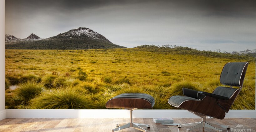 Tasmania mountains of the East-West Great Divide  Wall Murals