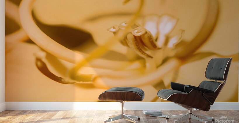 Wild orange Wall Murals