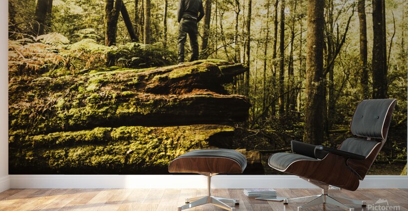 Tourist Hiking Mount Field Tasmania  Wall Murals