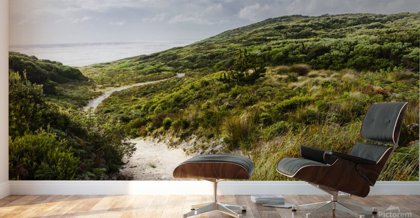 Sand dune path leading to Tasmania beach landscape Wall Murals