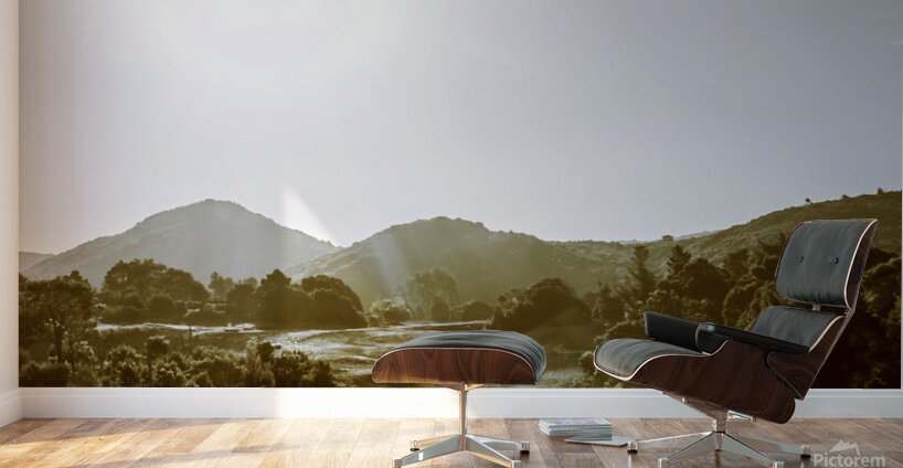 Dirt roads of outback Tasmania Wall Murals