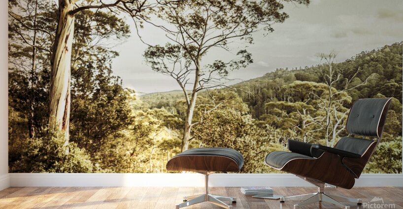 Gumtree bushland Wall Murals