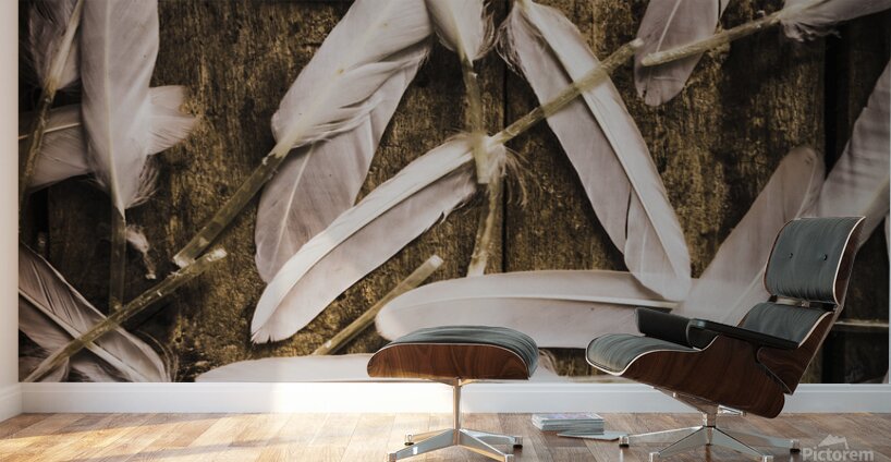 Soft symbol of peace and hope Wall Murals