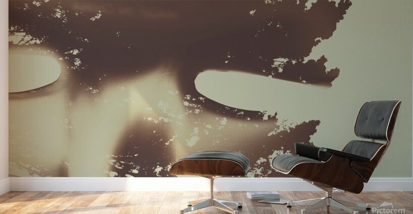 Manifest destiny Wall Murals