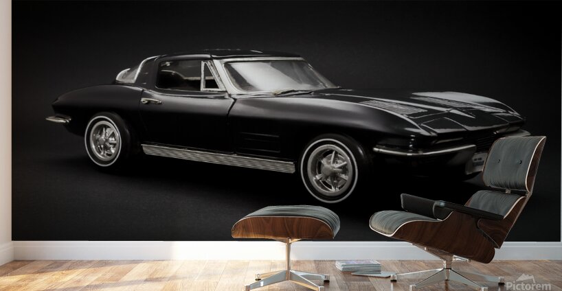 Stingray style Wall Murals