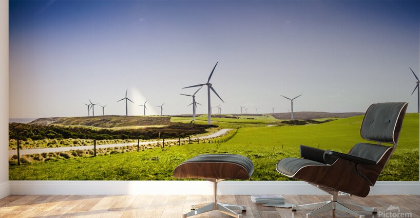 Winds from west Woolnorth Wall Murals