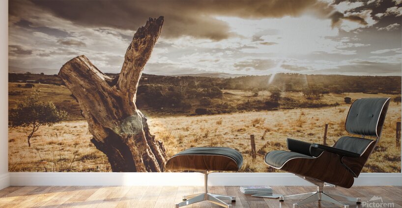 Cranbrook sunset Wall Murals