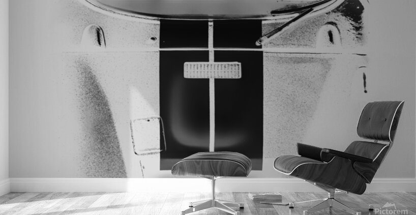 Racing Stripes Wall Murals