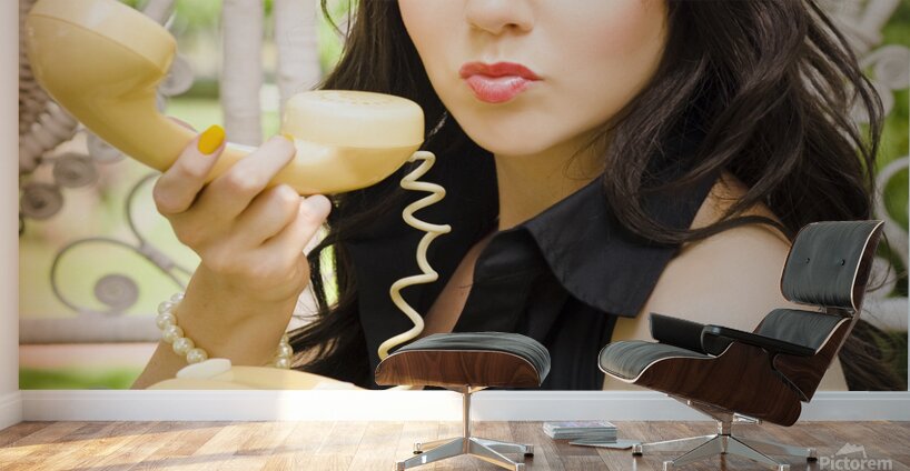 Vintage Telephone Wall Murals