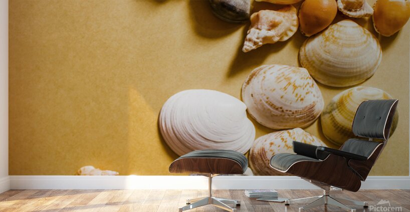 Seahorse art abstract Wall Murals