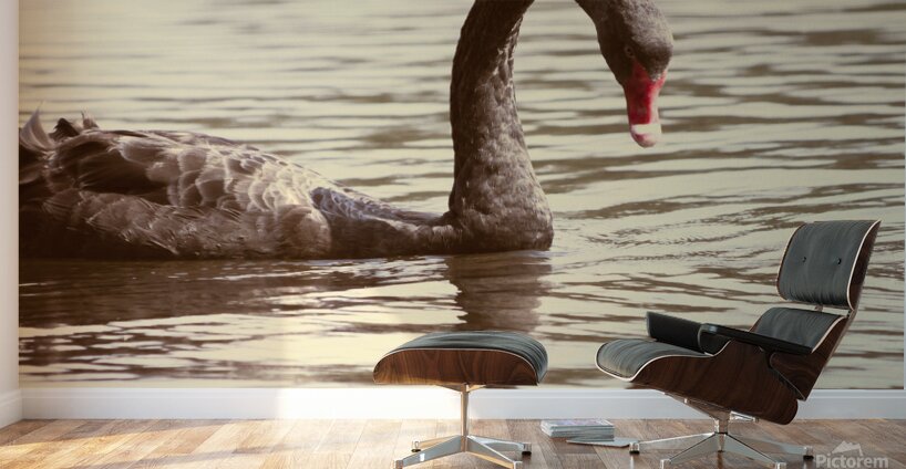 Reflective beauty Wall Murals