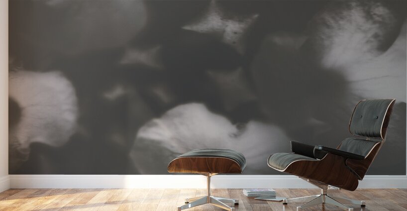 Ornate colourless weathered wild flowers Wall Murals