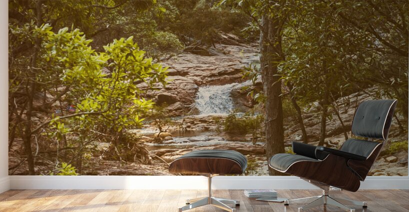 Rocky utopia Wall Murals