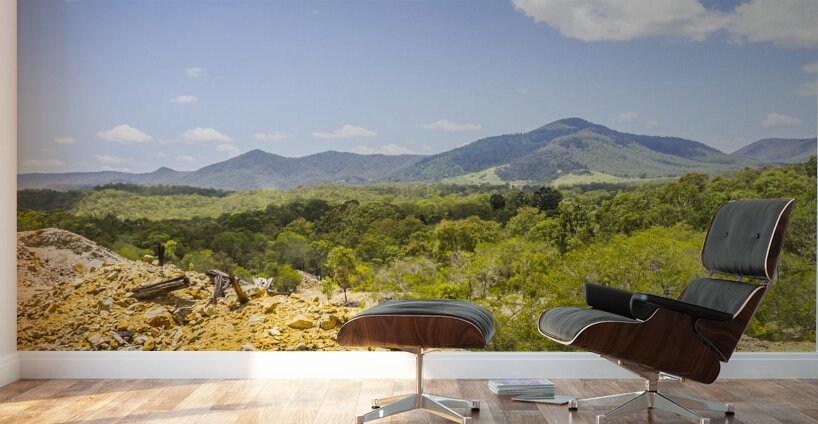 Colour wilds  Wall Murals