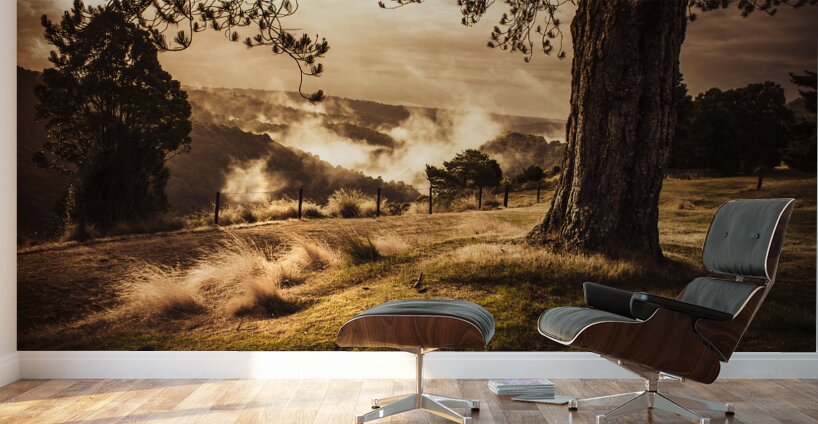 Peaceful vintage landscape of a rural meadow Wall Murals