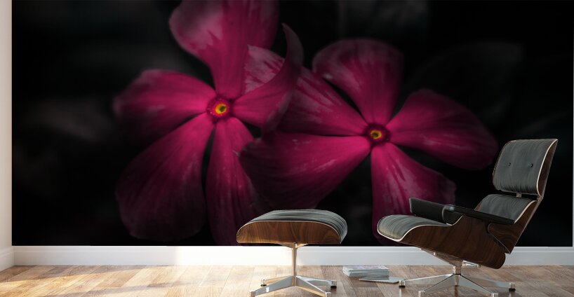 Pink periwinkle pair Wall Murals