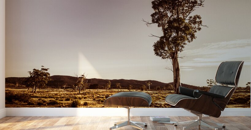 Freycinet bushland background Wall Murals