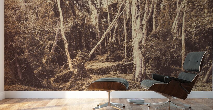 Wild ways Wall Murals