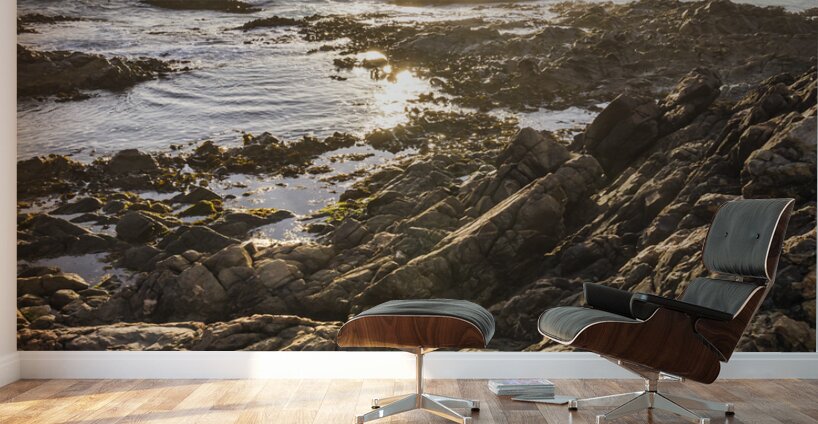 Shore rays Wall Murals