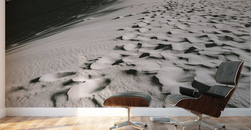 Winter desert landscape Wall Murals