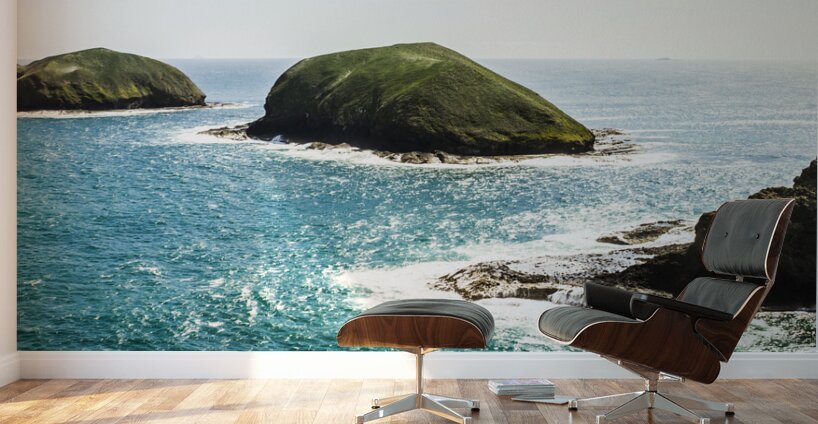 The doughboys island landscape Wall Murals