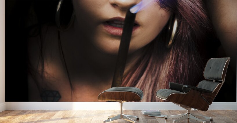 Hot Fashion Wall Murals