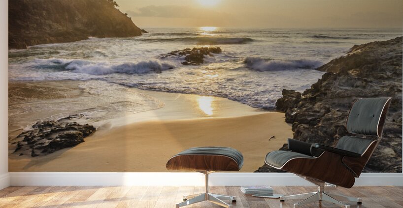 Captivating Coast Wall Murals